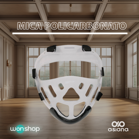 Mica Policarbonato - wonshop.mx